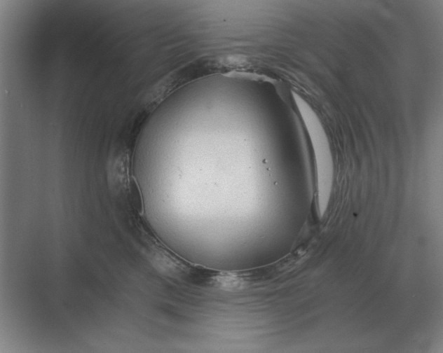 X0000068830425200605191904