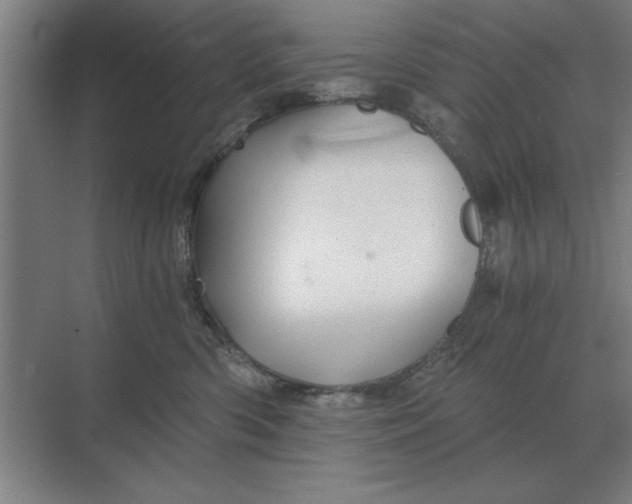 X0000068830426200605191904