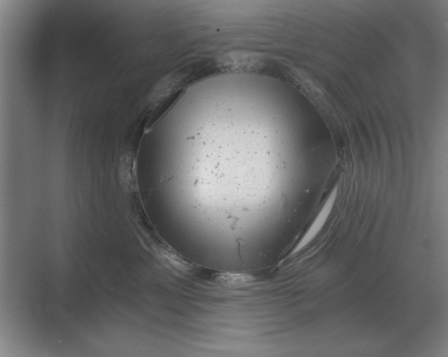 X0000068830429200605191904