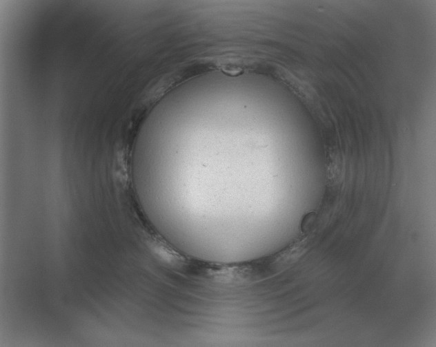 X0000068830430200605191904