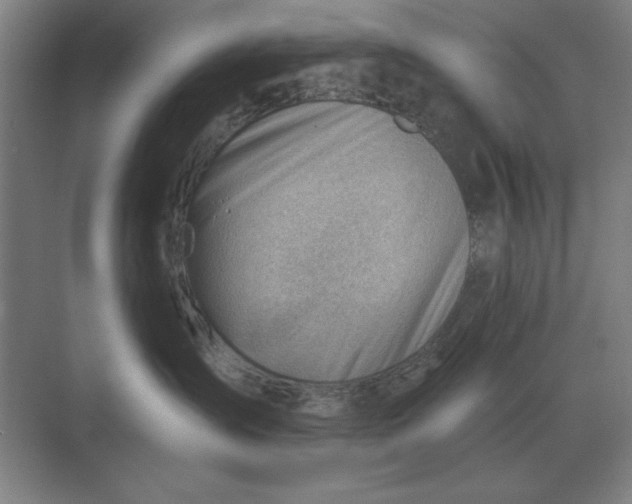 X0000068830431200605191904