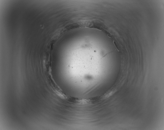 X0000068830432200605191904