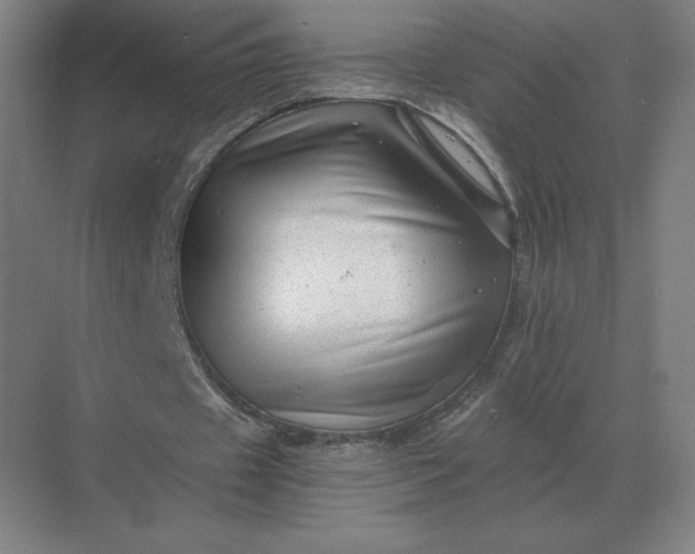 X0000068830433200605191903