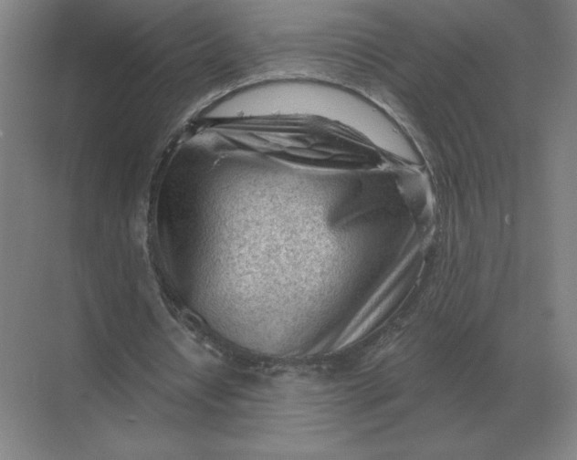 X0000068830434200605191903