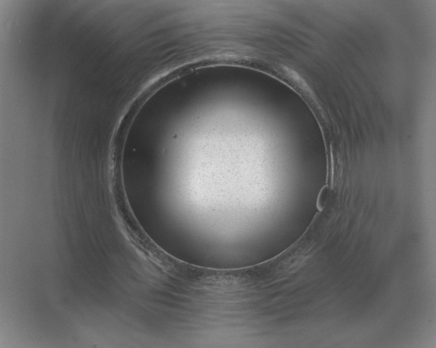 X0000068830435200605191903