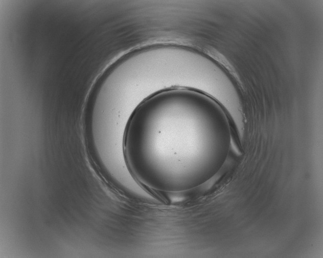 X0000068830436200605191903