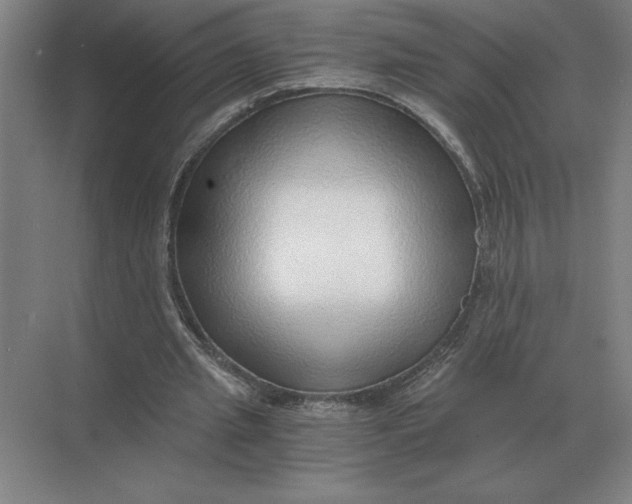 X0000068830437200605191903