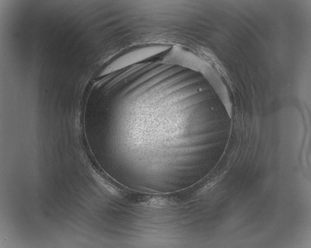 X0000068830441200605191903