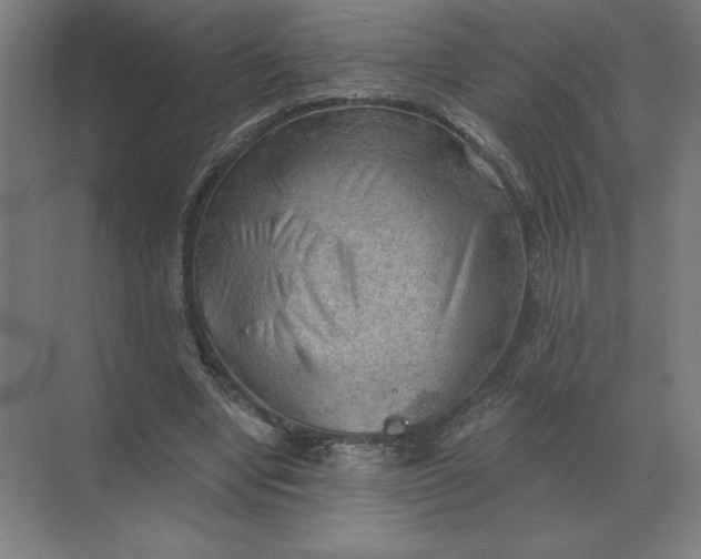 X0000068830442200605191903