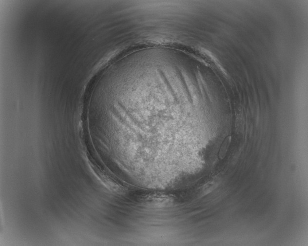 X0000068830443200605191903