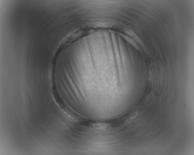 X0000068830444200605191903