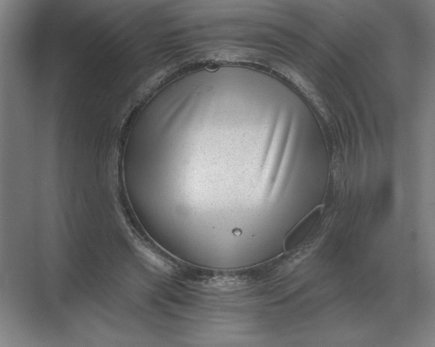 X0000068830445200605191903