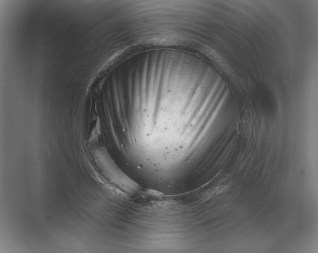 X0000068830446200605191903