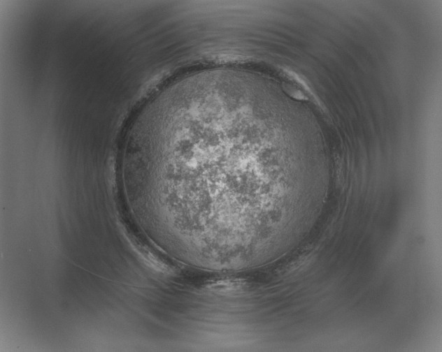 X0000068830447200605191903