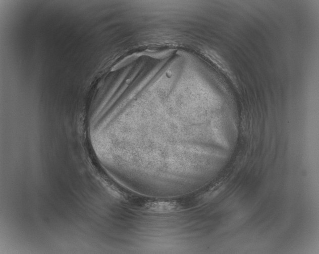 X0000068830449200605191903