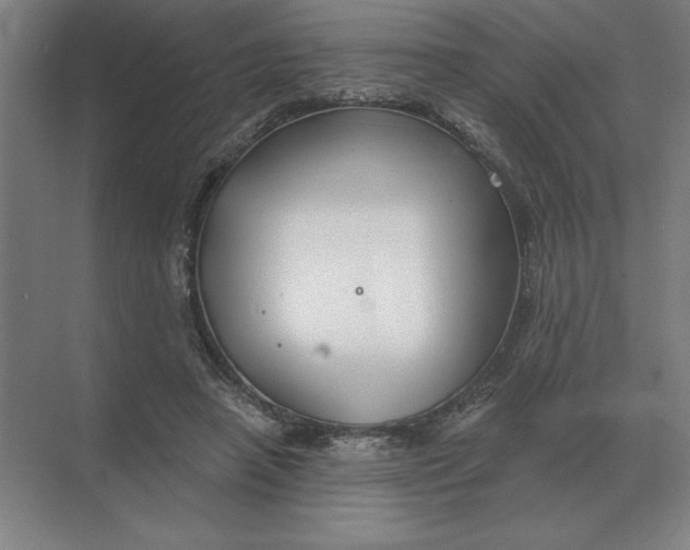 X0000068830450200605191903