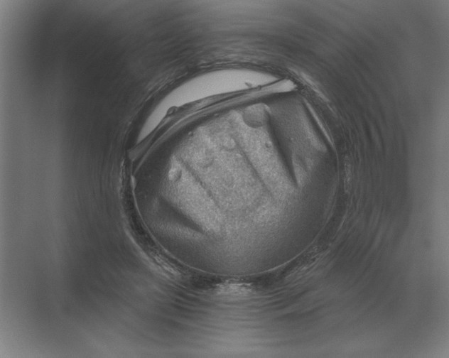 X0000068830451200605191903