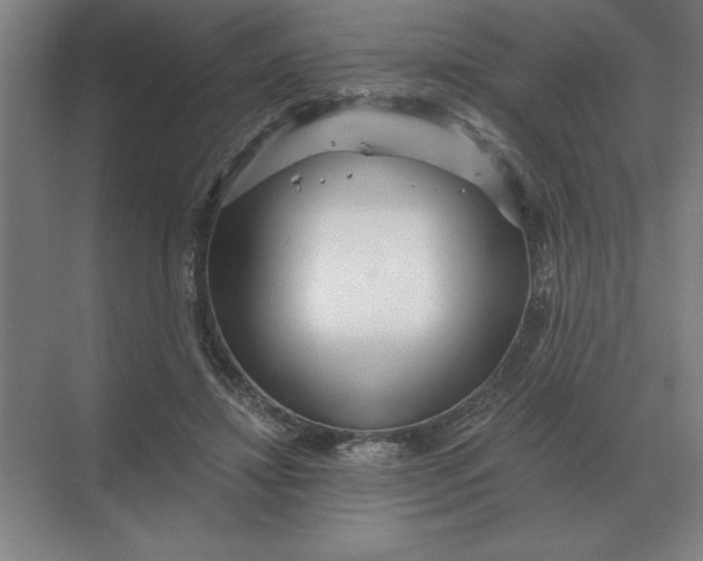 X0000068830452200605191903