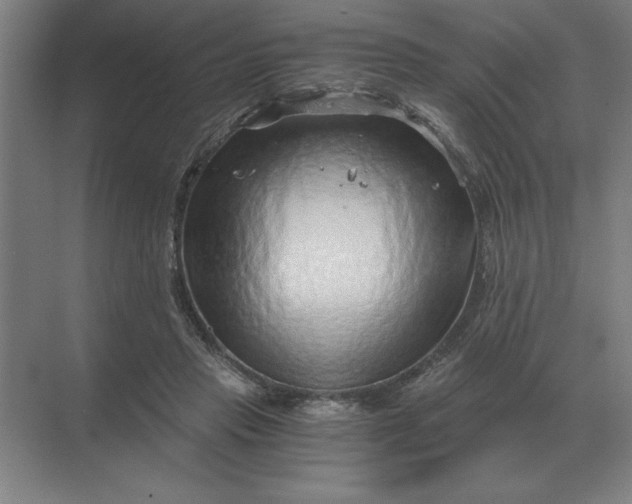 X0000068830453200605191903