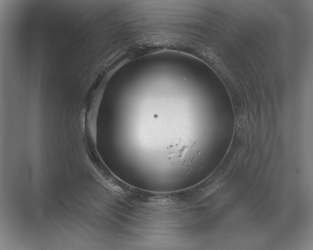 X0000068830454200605191903