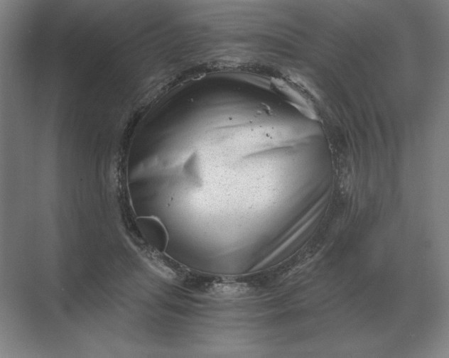 X0000068830455200605191903