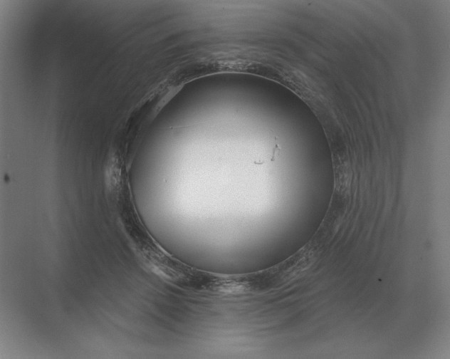 X0000068830456200605191903