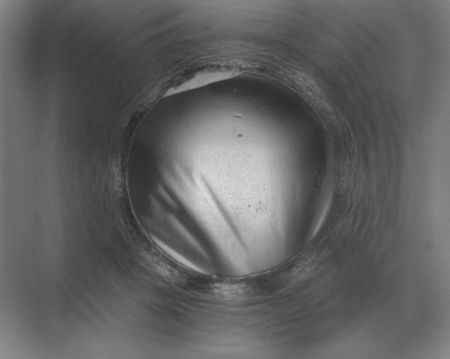 X0000068830457200605191903