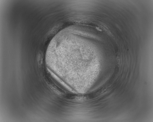 X0000068830458200605191903