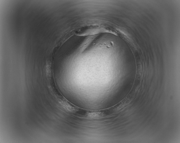 X0000068830461200605191903