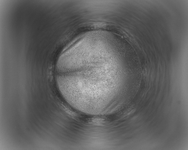 X0000068830462200605191903