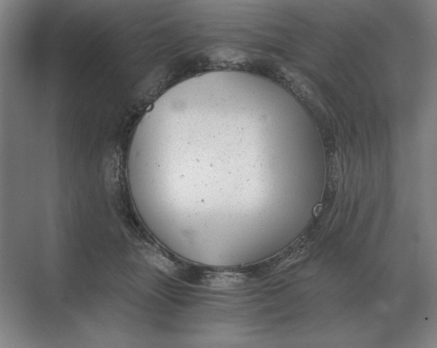 X0000068830463200605191903