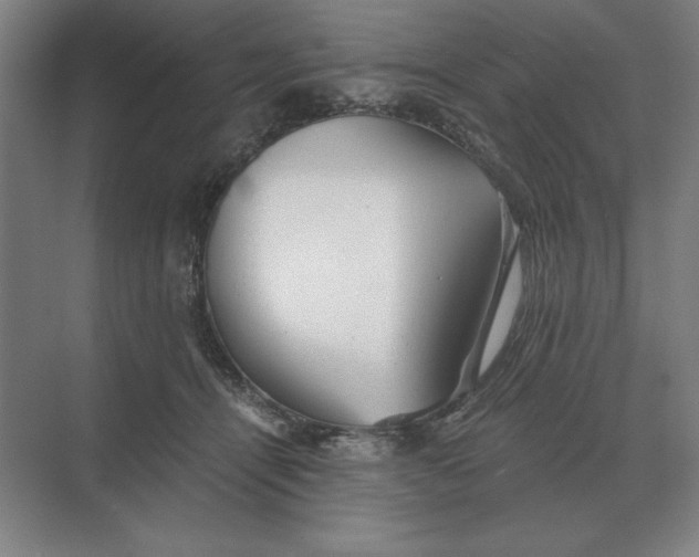 X0000068830464200605191903