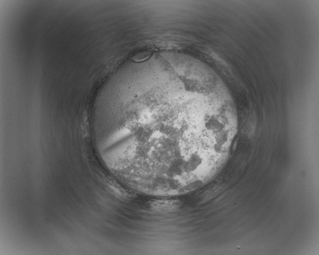 X0000068830465200605191903