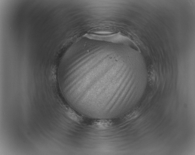 X0000068830466200605191903