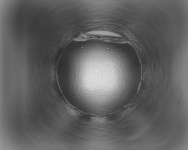 X0000068830469200605191903