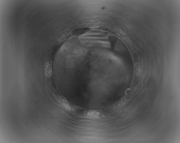 X0000068830471200605191903