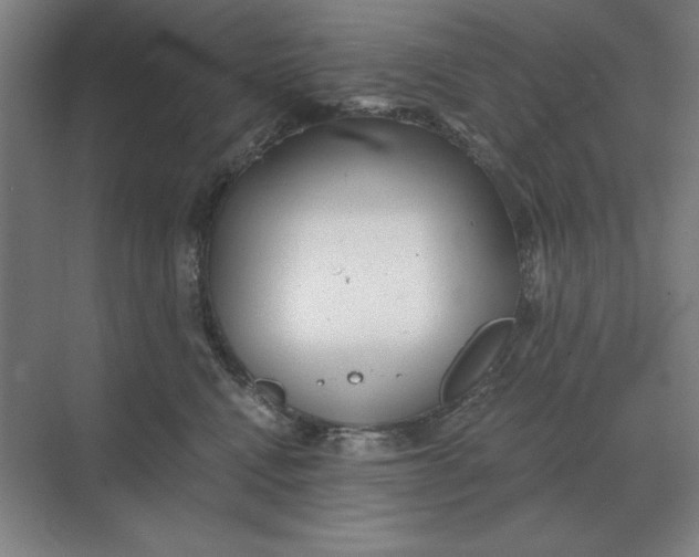 X0000068830472200605191903