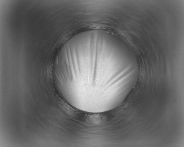 X0000068830473200605191903