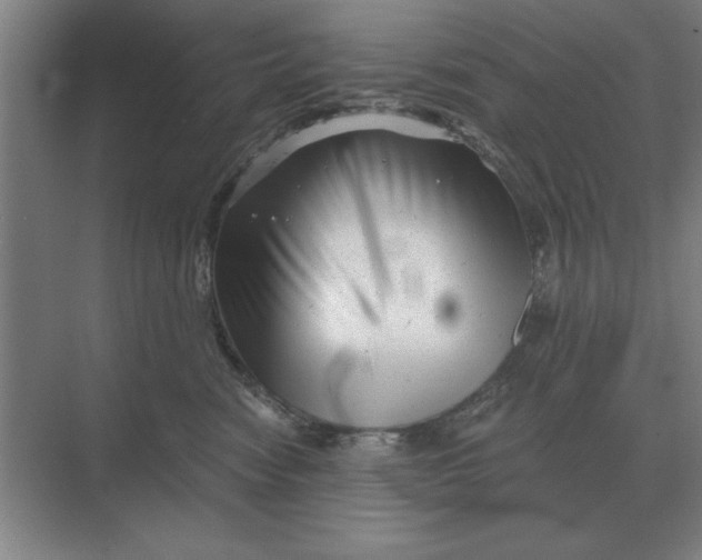 X0000068830474200605191903