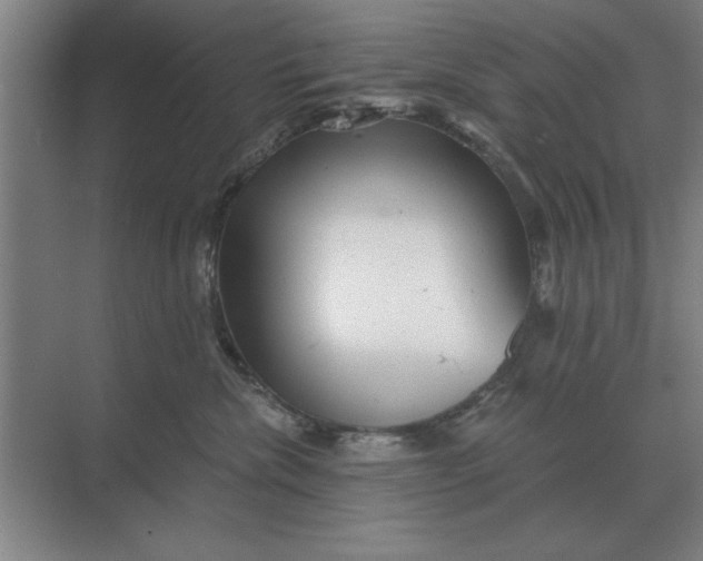 X0000068830476200605191903