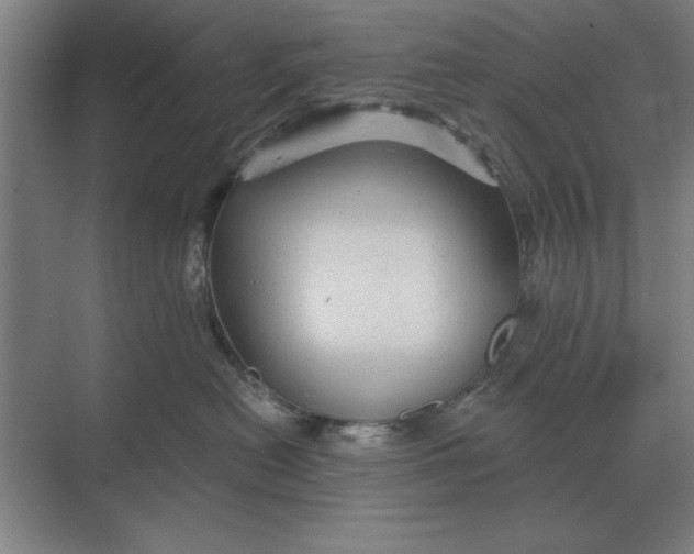 X0000068830478200605191904