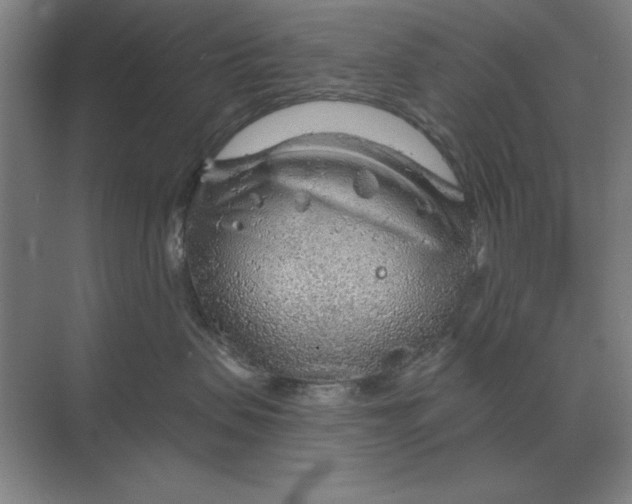 X0000068830479200605191904