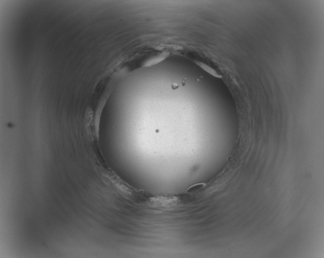 X0000068830480200605191904