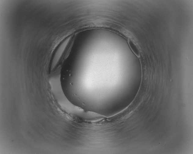 X0000068830481200605191903