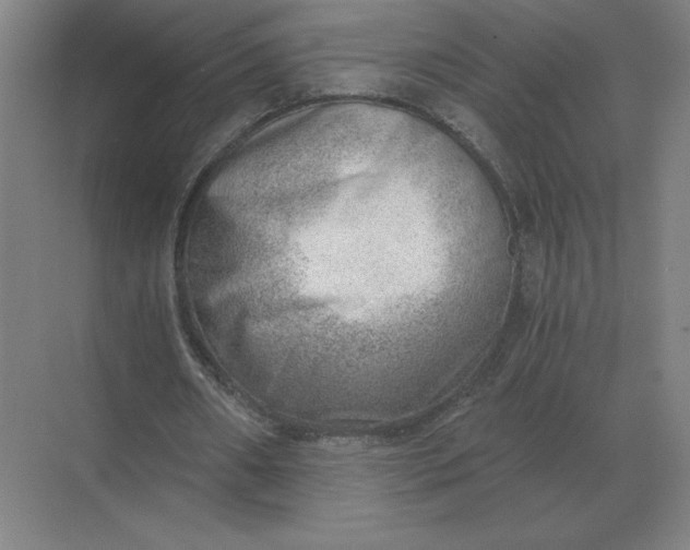 X0000068830482200605191903