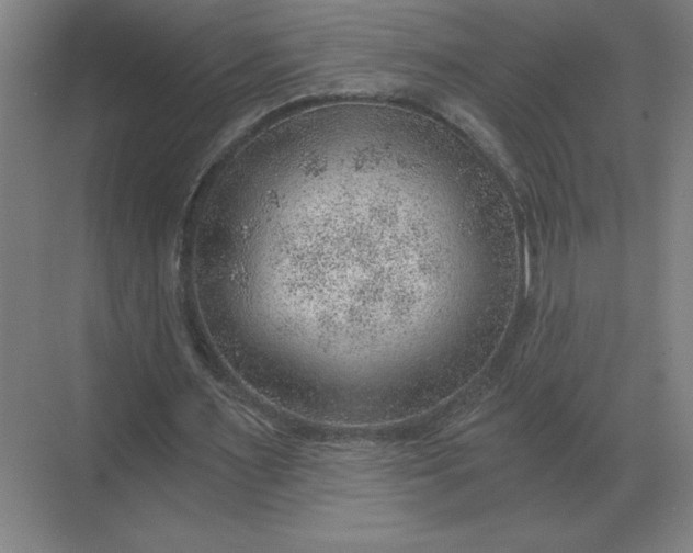 X0000068830483200605191903