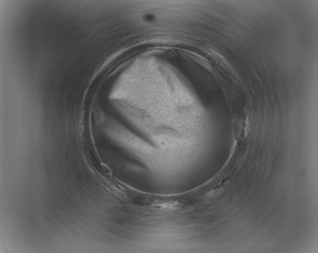 X0000068830484200605191903