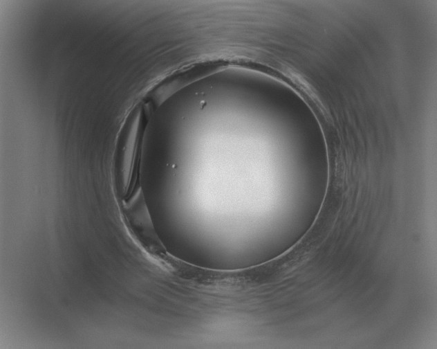 X0000068830485200605191903