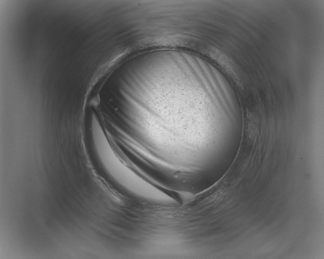 X0000068830486200605191903