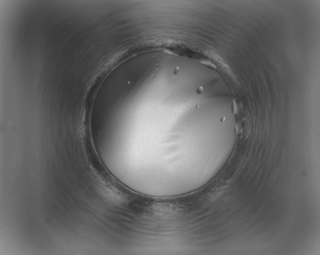 X0000068830490200605191903